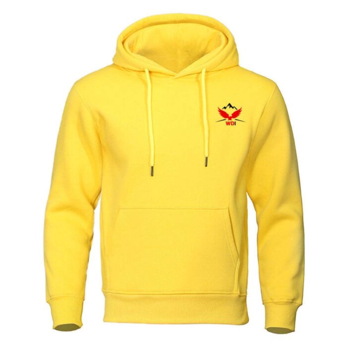 pullover-hoodies-10